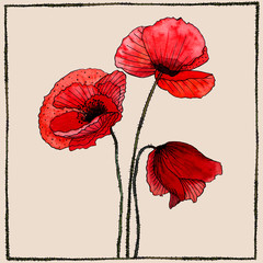 Watercolor hand painted poppies in frame