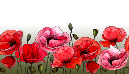 Watercolor hand painted seamless line pattern poppies