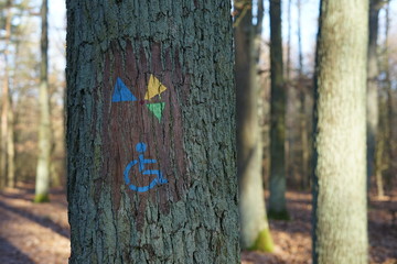 Baum mit Markierung eines barrierefreien Wanderwegs im Grunewald (Havelhöhenweg)