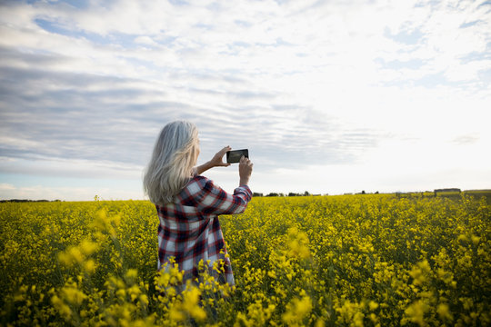 Woman using camera phone in idyllic yellow rapeseed crop field on farm