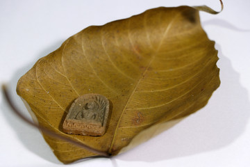 Small buddha amulet on the dry brown sacred fig or Bodhi leaf on white floor.
