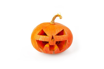 Halloween Pumpkins  on white background