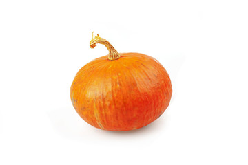 Halloween Pumpkins  on white background