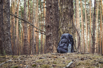 Obraz na płótnie Canvas Tourist backpack and a plastic bottle of water are standing by the tree in the forest. Concept of a hiking trip to the forest or mountains. Survival in the wild
