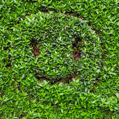 Smiling emoji. Emoji with a smile on green leaves background.