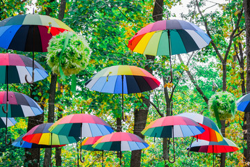 Fototapeta na wymiar Multi-colored umbrellas mounted on trees.