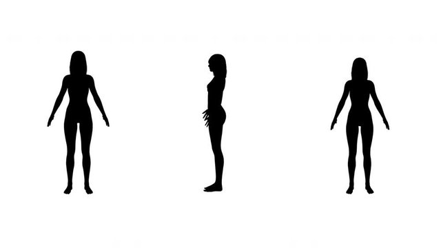 Woman Silhouette : Big to Thin