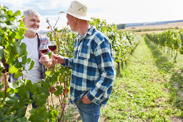 Weinbauern trinken ein Glas Rotwein zusammen