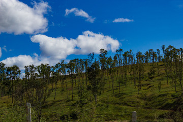 Paisaje