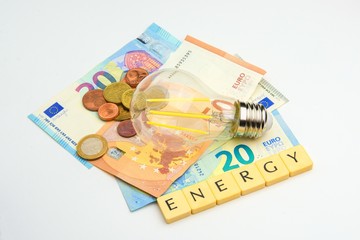 House energy cost theme with euro banknotes, coins and economy bulb isolated on white background