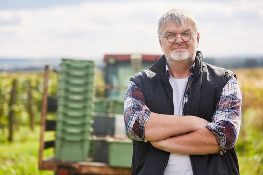 Weinbauer steht zufrieden auf seinem Weingut