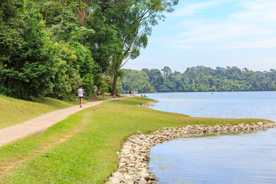 Central Catchment Nature Reserve MacRitchie