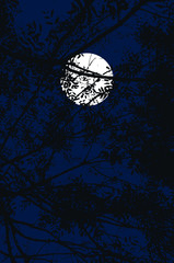 Vector illustration of a night scene, looking at a full moon in the dark blue sky through black branches and leaves.