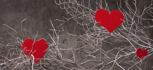 Holiday background for Valentine's Day on a gray cement background with white painted branches and a sheet of paper for text