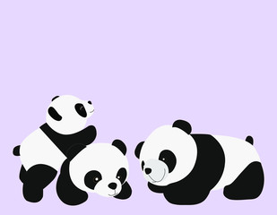 Panda cub is climbing on the mother back and father back isolated on soft purple background.