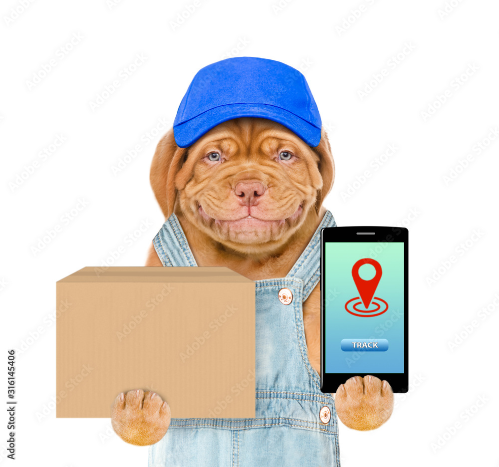 Poster smiling puppy wearing a blue cap and overalls holds smartphone and big box. isolated on white backgr