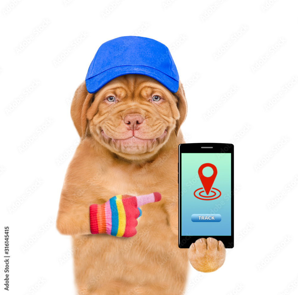 Poster Smiling puppy points on smartphone with tracking symbol. tracking concept. isolated on white background