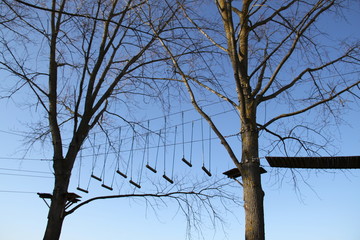 Jeux d'accrobranche dans les arbres