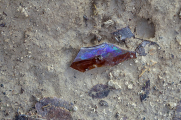 A splinter of brown glass from a beer bottle on the ground