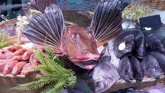 Fischabteilung in einem franz&ouml;sischem Supermarkt