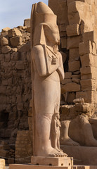 Egypt, Luxor - Karnak Temple, complex of Amun-Re. Statues of Ramses II and Nefertiti.