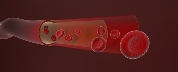 red blood in artery ,Blood vessel sliced with erythrocytes,3d render.