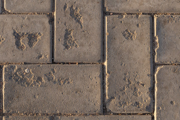 Paving from tiles. Graphic element on a stone. Construction product.