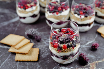 Homemade layered red berry fruit, cookie crumbs and cheesecake cream dessert in glasses