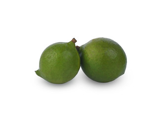 Macadamia nut isolated on white background