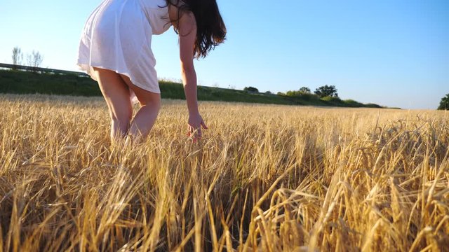 Unrecognizable woman in white dress walking along wheat field and touching ripe spikelets. Young girl enjoying beautiful nature environment on barley meadow. Scenic summer views around. Slow motion