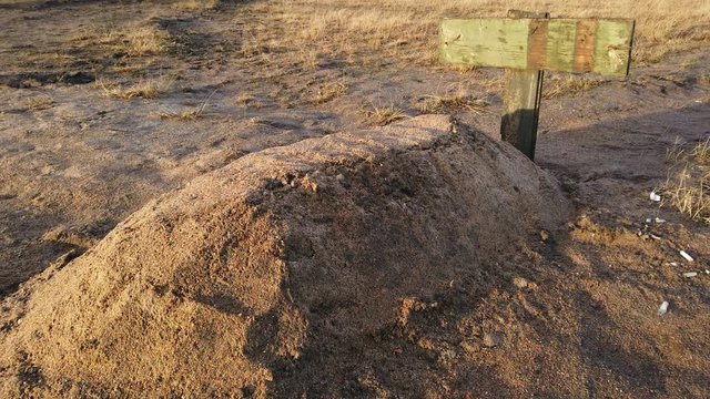 lonely grave with an empty sign. A grave mound of sand and a tablet for your text