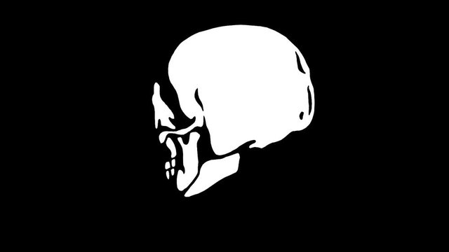 Human white skull in loop rotation on black background 2d animation.