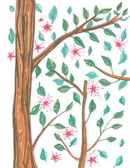 tree branches with leaves and pink flowers on a white