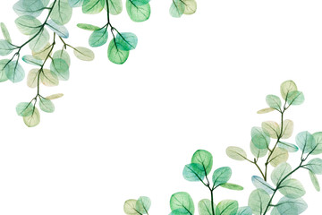  Watercolor eucalyptus leaf  frame. Floristic design elements for floristics. Hand drawn illustration. Greeting card. Floral print. Plant painted background. For postcards, greetings, cards, logo. 