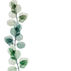  Watercolor eucalyptus leaf  frame. Floristic design elements for floristics. Hand drawn illustration. Greeting card. Floral print. Plant painted background. For postcards, greetings, cards, logo.  - 316154854