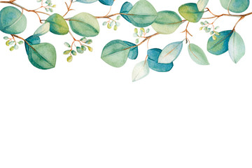  Watercolor eucalyptus leaf  frame. Floristic design elements for floristics. Hand drawn illustration. Greeting card. Floral print. Plant painted background. For postcards, greetings, cards, logo. 
