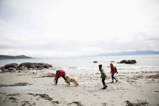 Family with dog playing on rugged beach