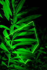 Naklejka na ściany i meble Bright green tropical leaves with neon rectangular frame minimalistic background. Floral backdrop concept. Floristry hobby. Web banner, greeting card idea. Concept color of Year