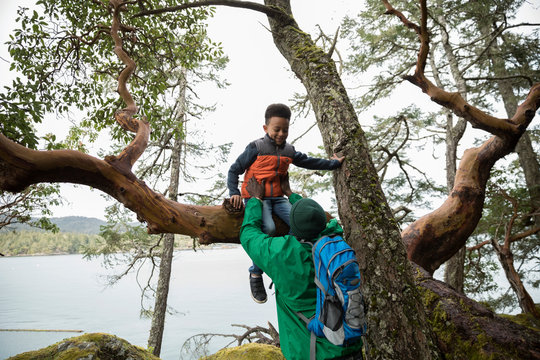 Father lifting son out of tree, backpacking in woods