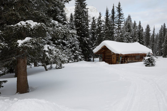 Snowy cabin in woods