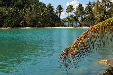 Fototapeta na wymiar Blur coconut palm leaves on ropical island beach background. Sand spit in the sea.