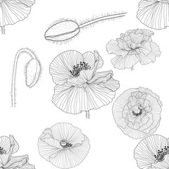 seamless pattern of black and white poppies