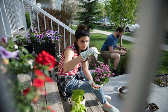 Couple Gardening, Planting Flowers On Sunny Front Stoop