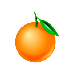 whole orange, realistic vector, isolated