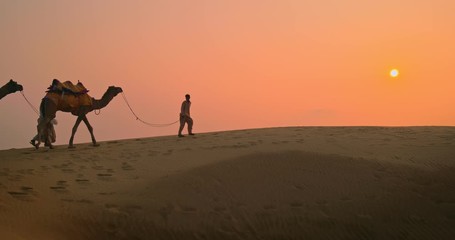 Two Indian cameleers (camel driver) bedouin with camel silhouettes in sand dunes of Thar desert on sunset. Caravan in Rajasthan travel tourism background safari adventure. Jaisalmer, Rajasthan, India