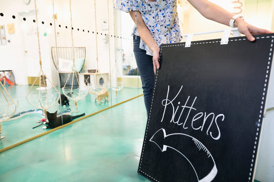 Business owner placing Kittens sign outside cat cafe