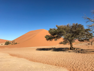 Sossusvlei  / Deathvlei