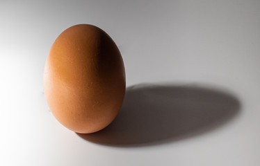Chicken egg isolated on white background, white large shadow of it