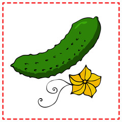 Cucumber with yellow flower..Vector botanical illustration in cartoon style. Isolated object on white background. Suitable for menus, kitchen prints, textiles.