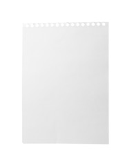 Blank notebook paper isolated on white. Space for design